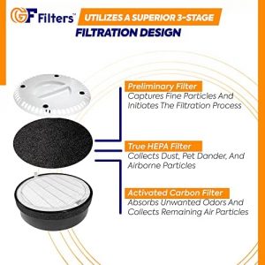  Gulf Filters H13 True HEPA LVH132RF for Levoit Air Purifier  Replacement Filter Compatible with LEVOIT LV-H132 Air Purifier, 3-in-1 True  HEPA Filtration System with Activated Carbon Filters, 2-Pack : Home 